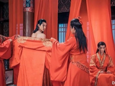 同志小说《双星契》弟弟替姐出嫁